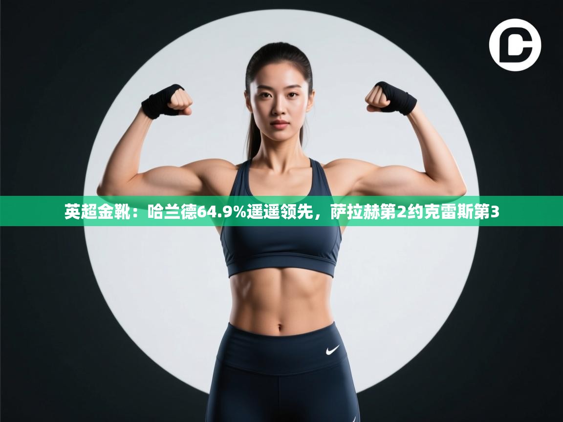 开云体育在线登入-英超金靴：哈兰德64.9%遥遥领先，萨拉赫第2约克雷斯第3  第4张