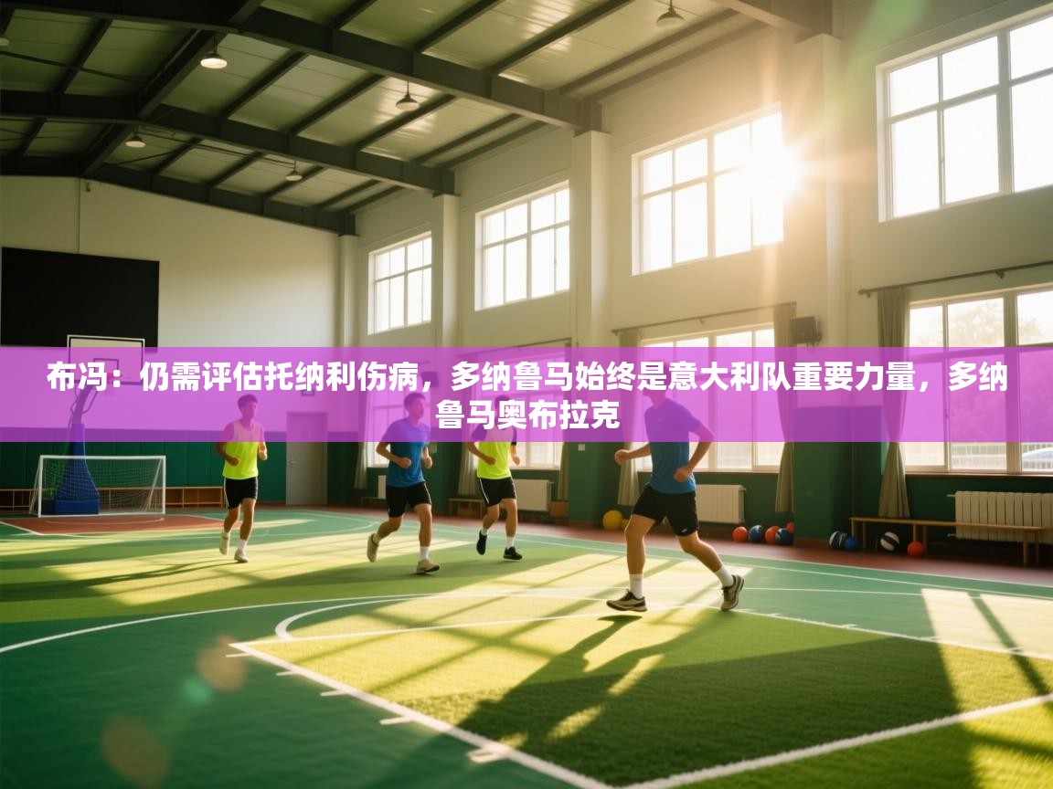 开云体育忘记密码找回-布冯：仍需评估托纳利伤病，多纳鲁马始终是意大利队重要力量，多纳鲁马奥布拉克  第2张