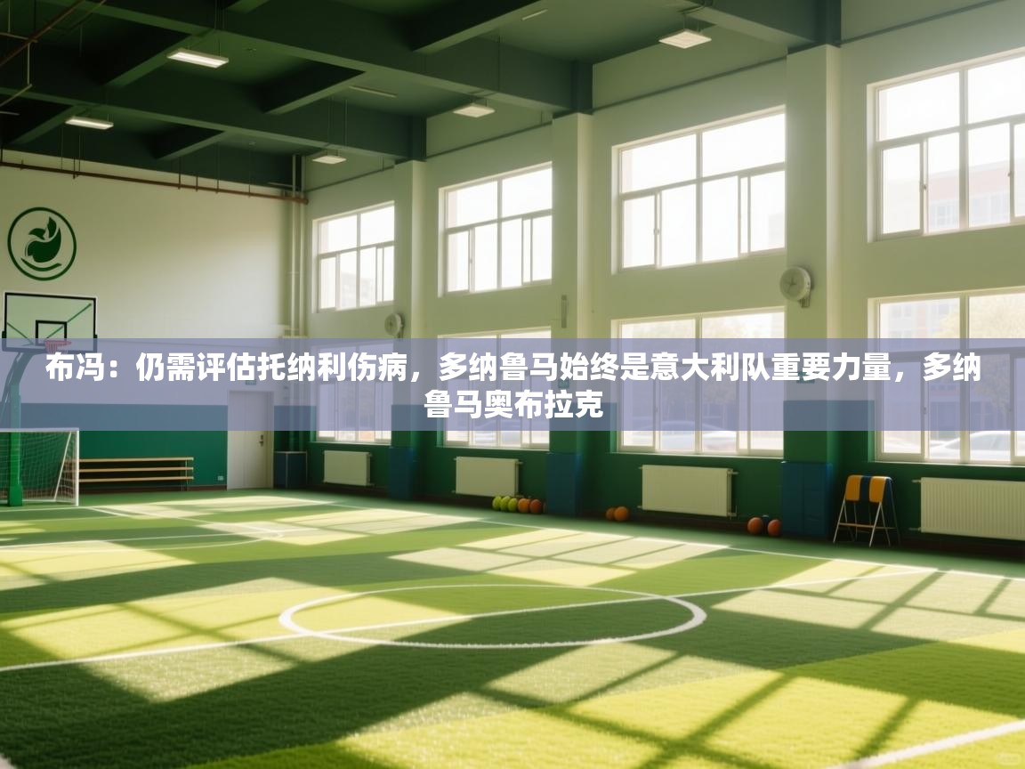 开云体育忘记密码找回-布冯：仍需评估托纳利伤病，多纳鲁马始终是意大利队重要力量，多纳鲁马奥布拉克  第3张