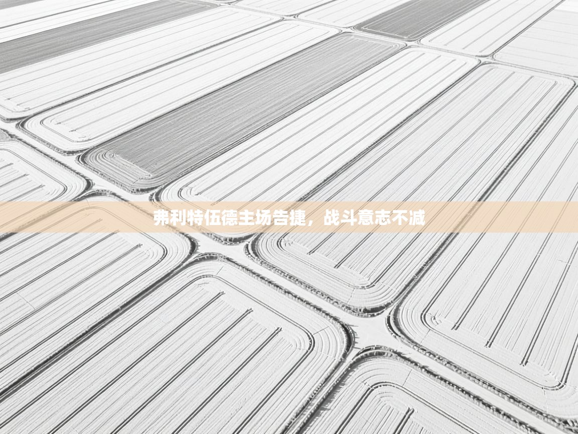 云开官网-弗利特伍德主场告捷，战斗意志不减