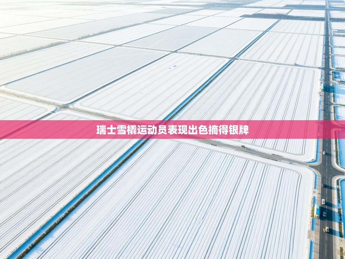 云开体育官网登录入口-瑞士雪橇运动员表现出色摘得银牌  第1张