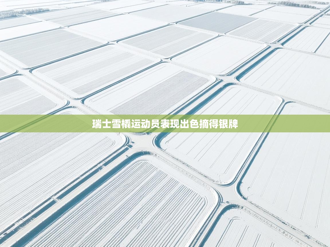 云开体育官网登录入口-瑞士雪橇运动员表现出色摘得银牌  第2张