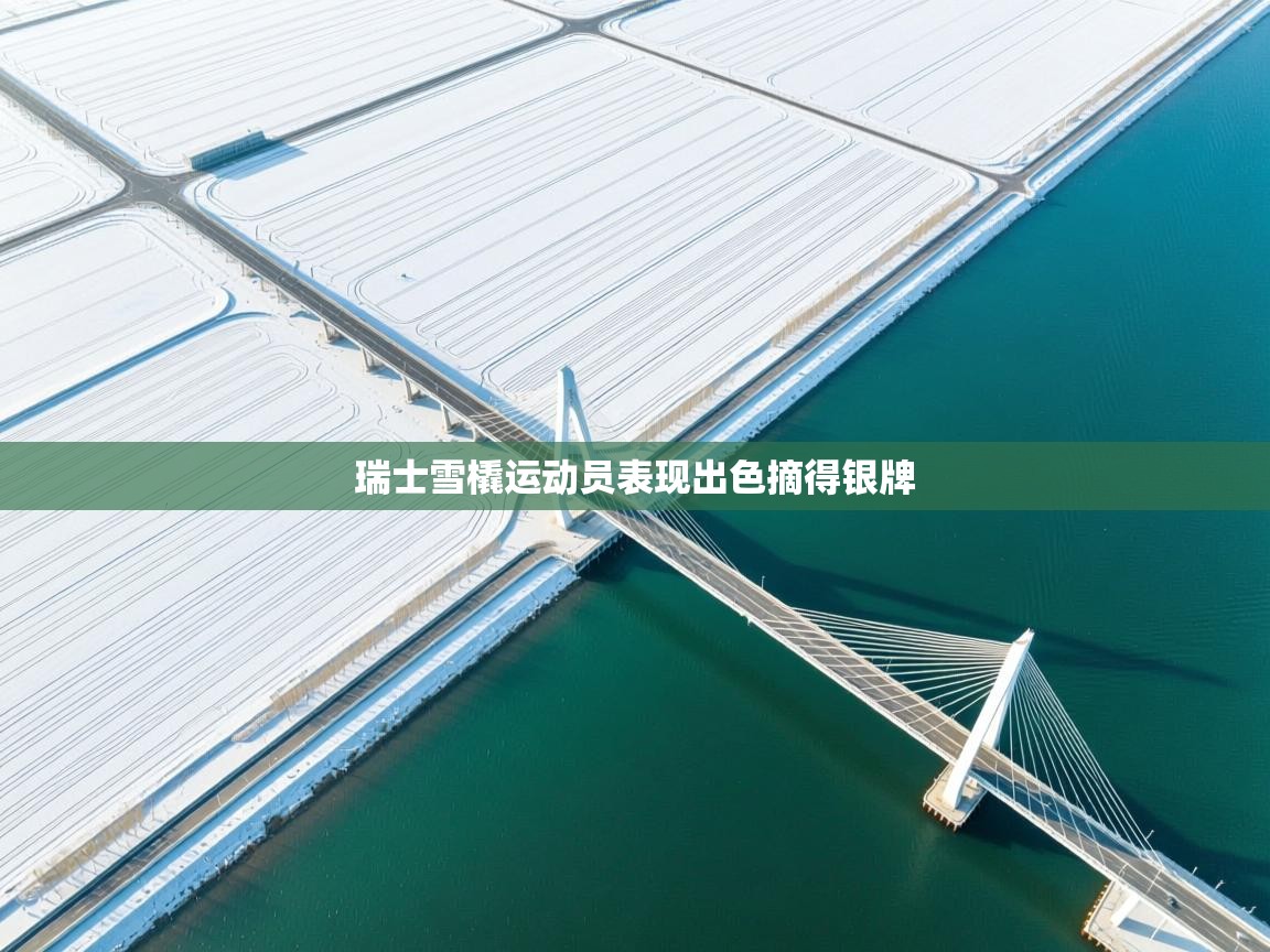 云开体育官网登录入口-瑞士雪橇运动员表现出色摘得银牌  第4张