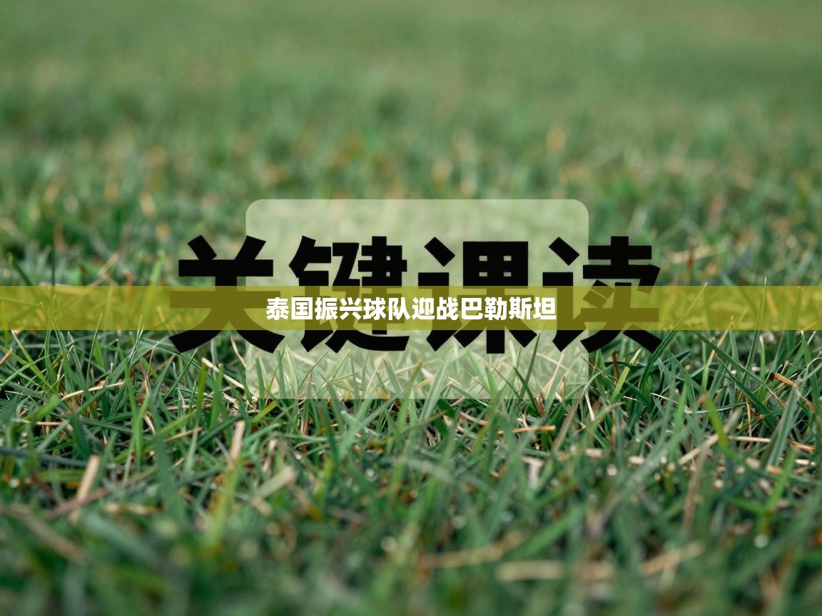 开云体育视频直播低延迟-泰国振兴球队迎战巴勒斯坦  第1张