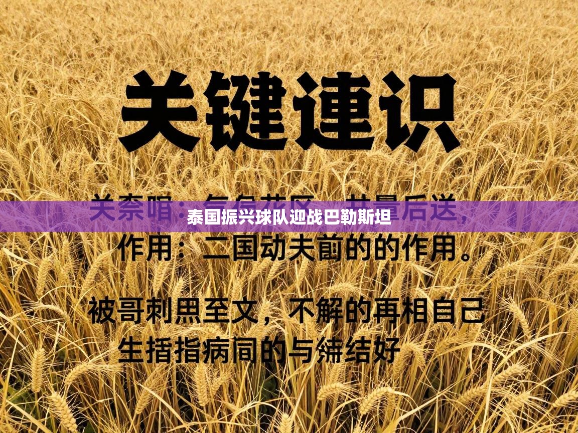 开云体育视频直播低延迟-泰国振兴球队迎战巴勒斯坦  第3张