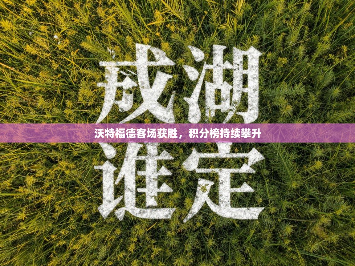 云开体育官方app下载-沃特福德客场获胜，积分榜持续攀升  第3张